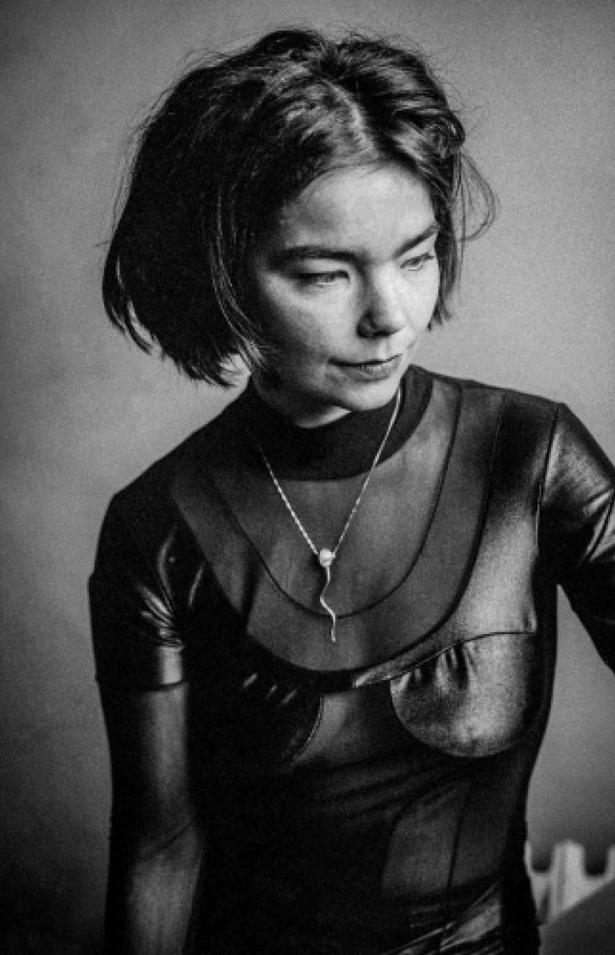 Bjork-1