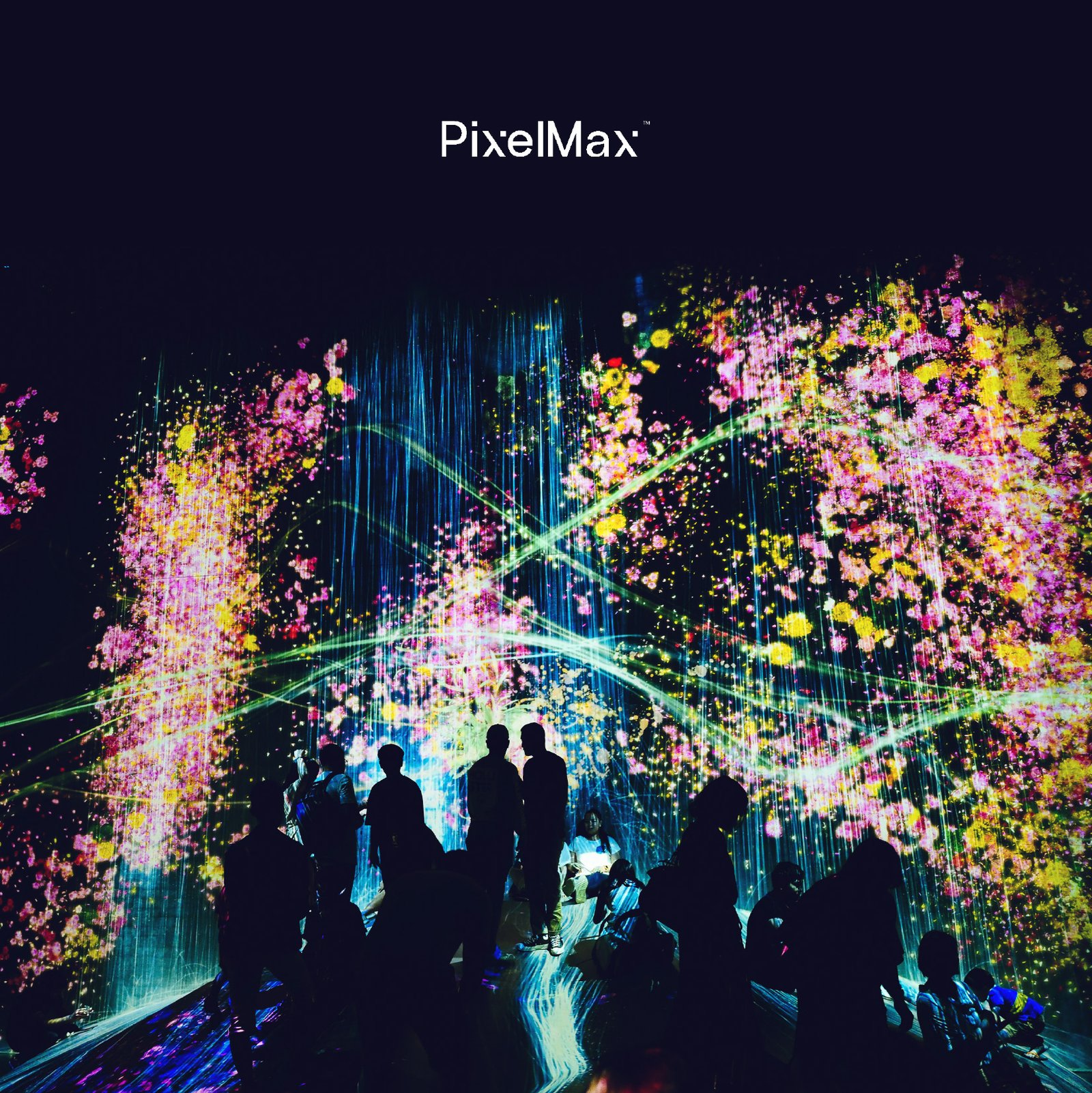 Pixelmax-6