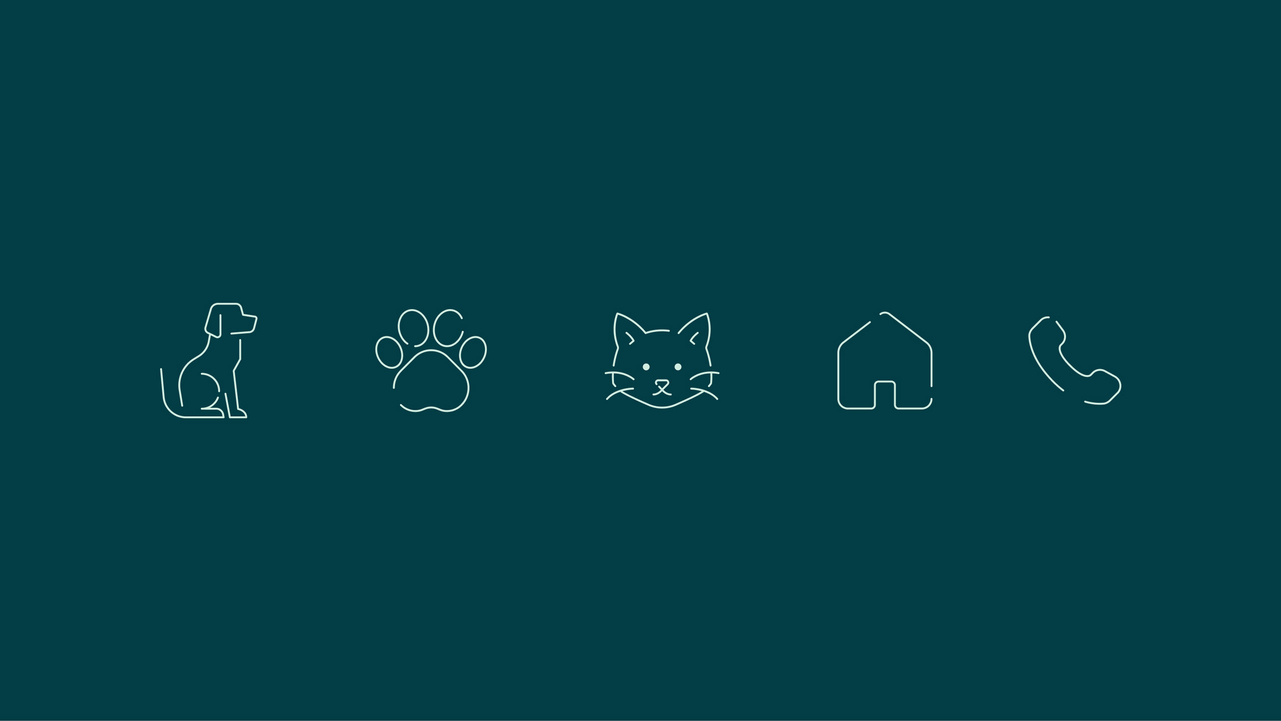 Vets-at-Home-11