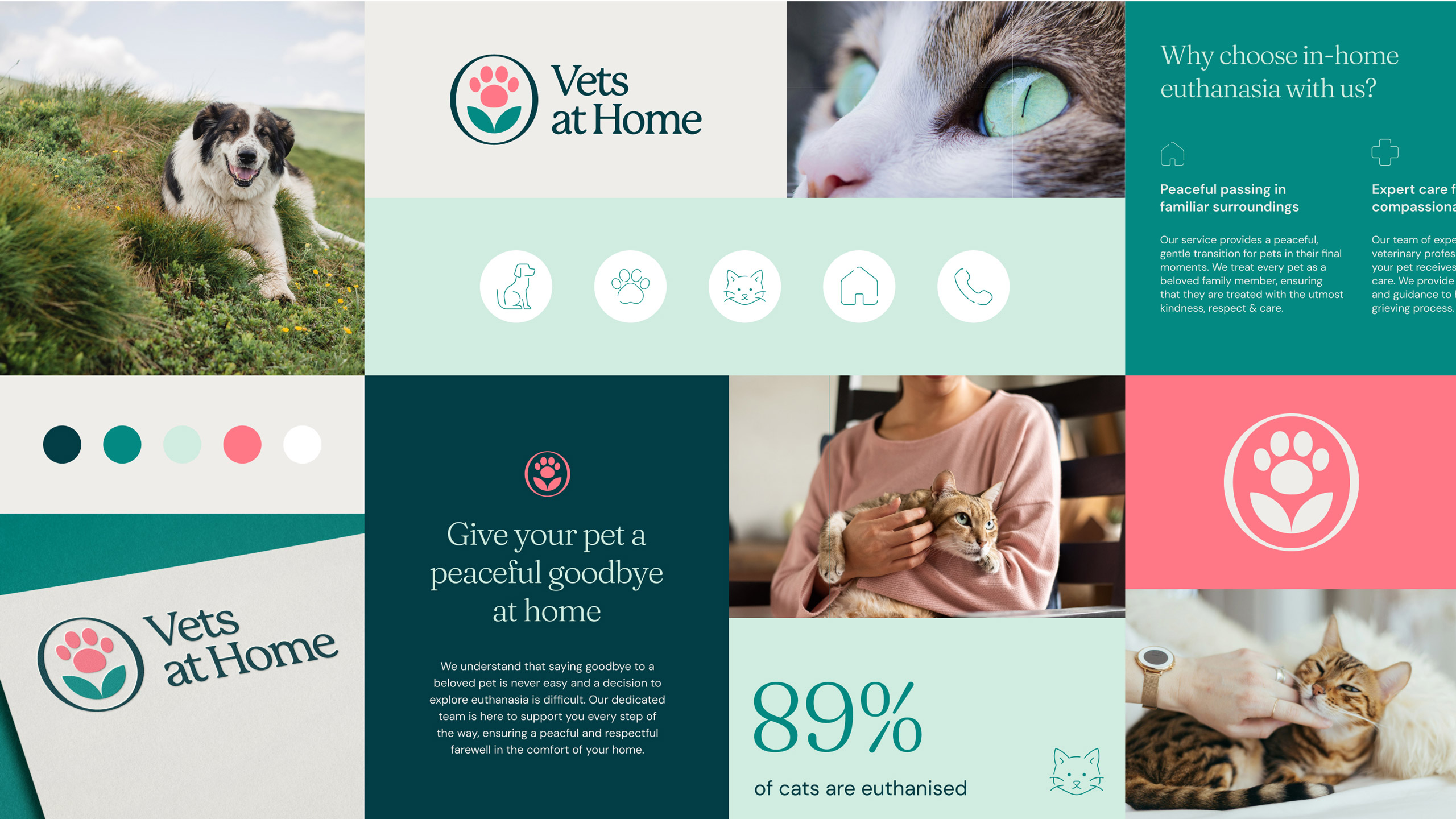 Vets-at-Home-12