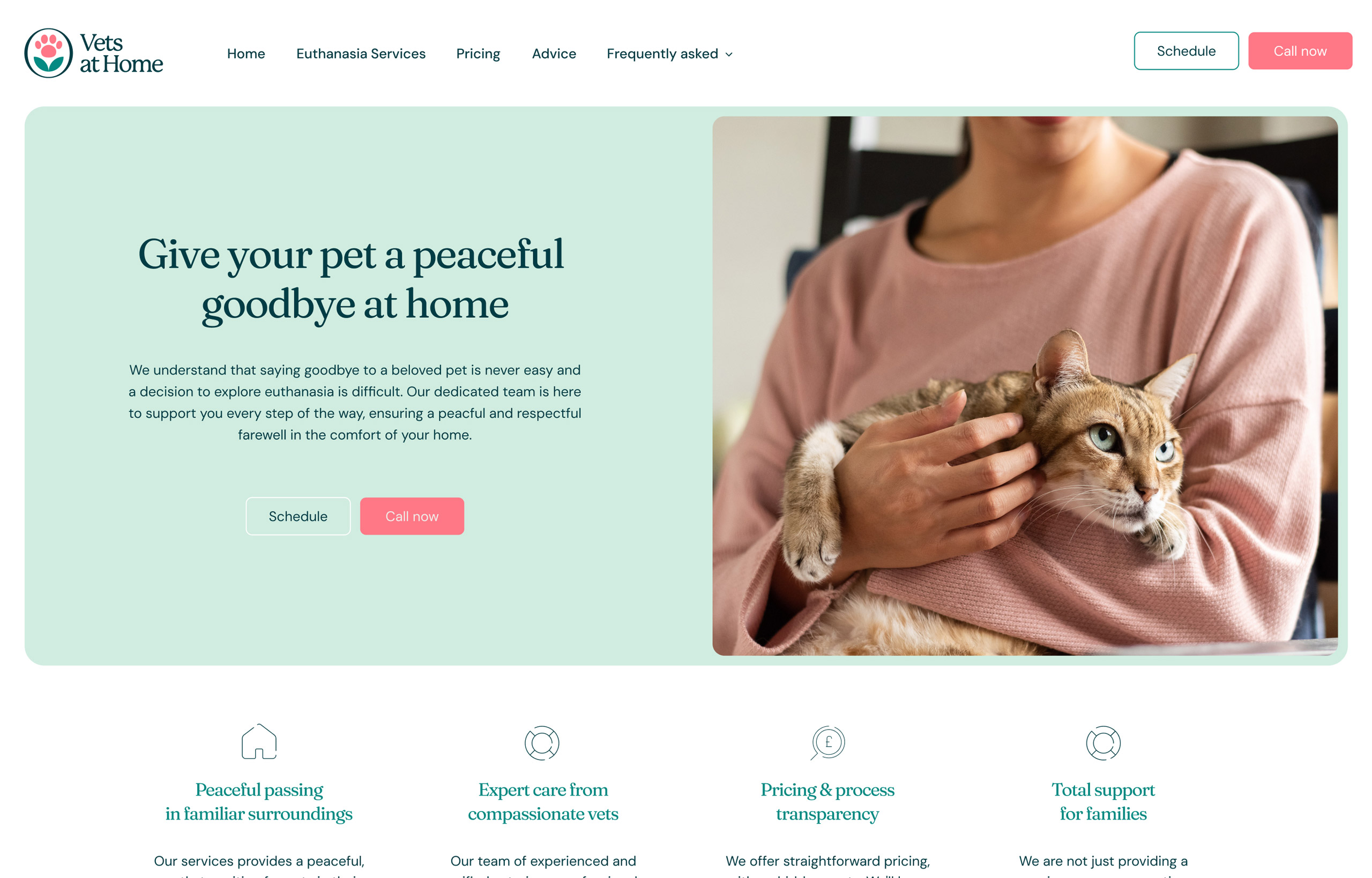 Vets-at-Home-8